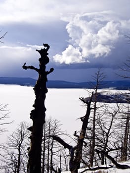 Ice lake in Yellowstone Park, USA