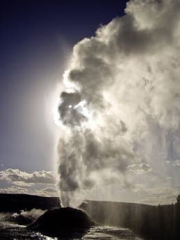 Lion Geyser erupting in Yellowstone National Park, USA