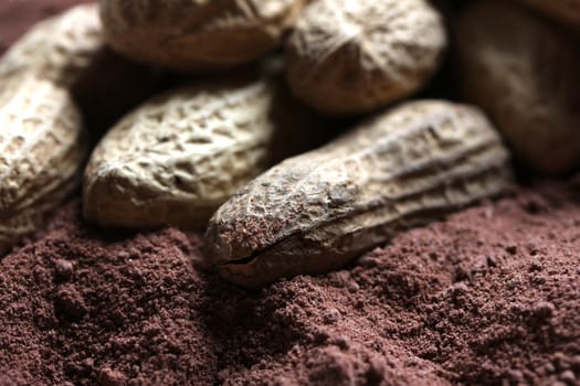 peanuts in cacao