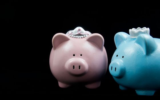 King & Queen Piggy Banks