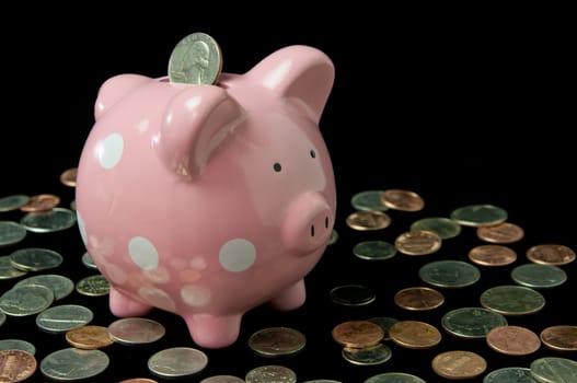 Pink polka dot piggy bank surrounded by cash and coins