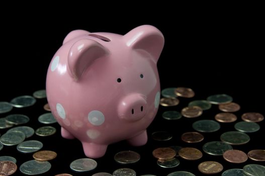 Pink polka dot piggy bank surrounded by cash and coins