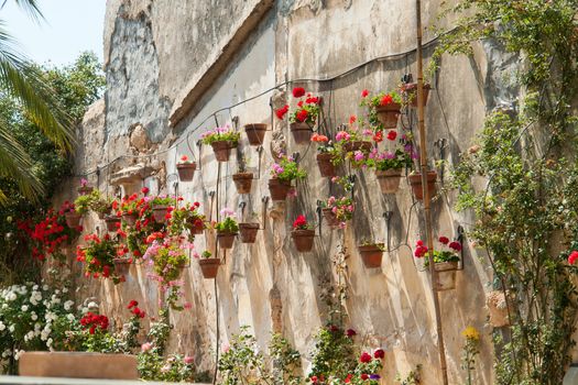 Typical wall planter pots  with Geranium hanged on a wall Tuscany Italy style
