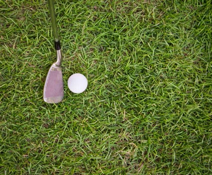 golf ball and iron on  grass