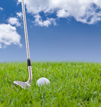 golf ball and iron on tall grass