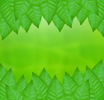 green leaves over abstract background