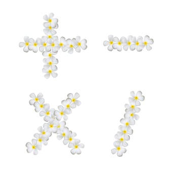 Plumeria alphabet isolated on white background  ( + - x / )