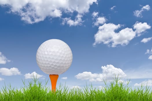 golf ball and tee on tall grass