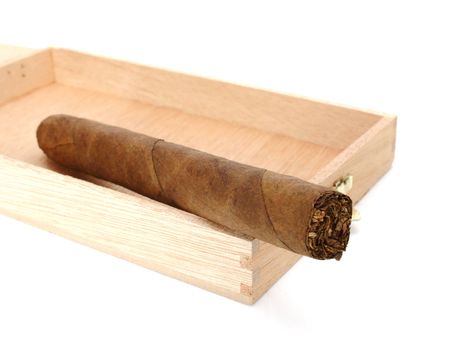 big cuban cigar served from wooden box over white