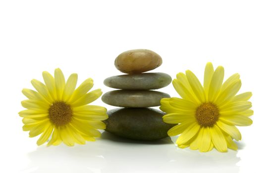 stones and yellow flowers on isolated white background