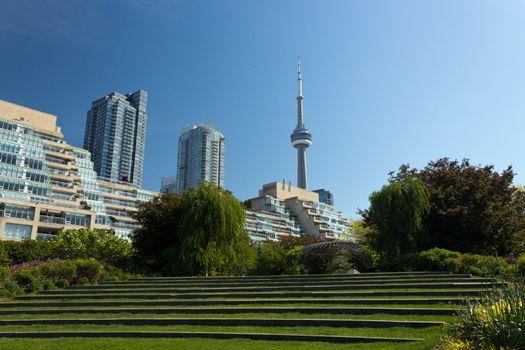 The CN Tower seen from the Harbourfront Music Garden.