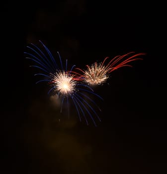 firework in night sky