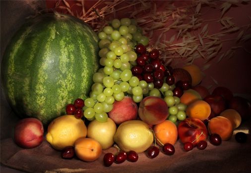 composition of various fresh fruits and vegetables