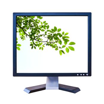 green leaf in lcd monitor isolated