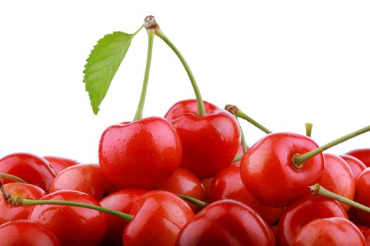 Heap of fresh cherry berries with green leaf isolated on white background 