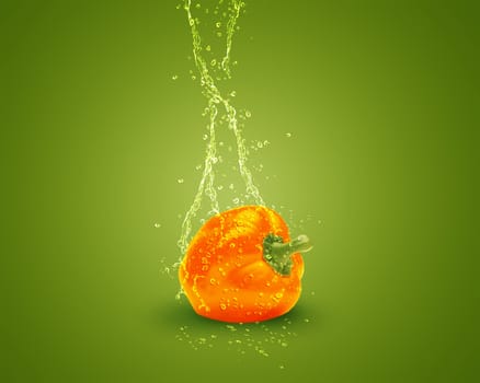 Fresh orange bell pepper with water splashes on green background.