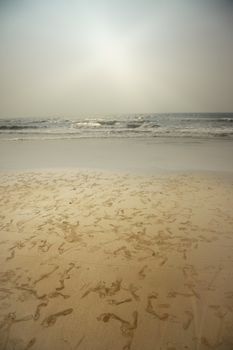 Many footprints on the sand at the ocean beach. Vertical photo with dramatic colors