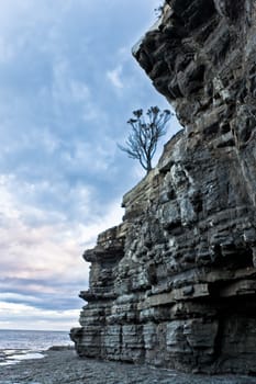 Interesting vertical weathered rocks on the seashore showing parallel layers of strata laid bare by erosion with the beach below and a lone tree on top