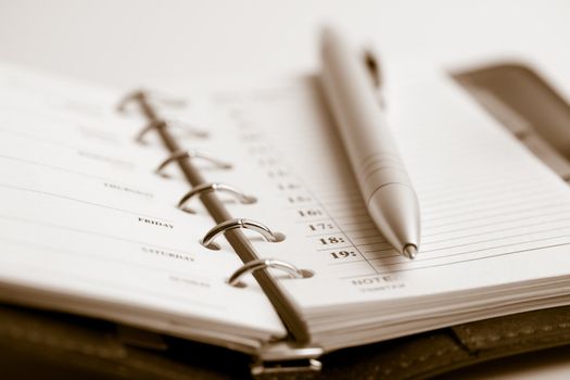 pocket planner and pen