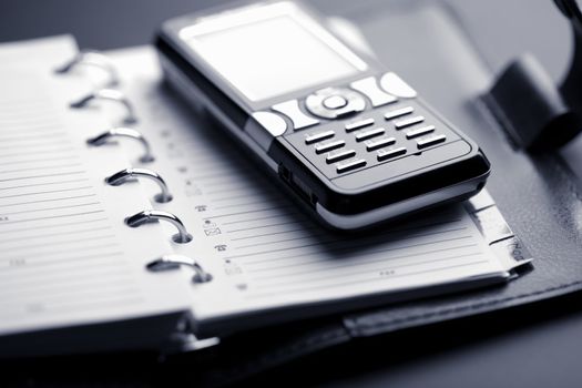 organizer and mobile phone