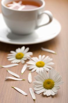 white cup of herbal tea and camomile flowers