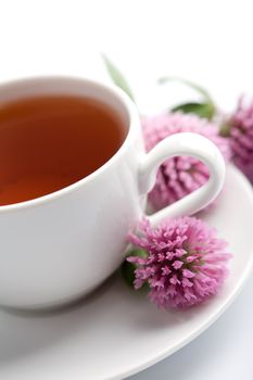 white cup of herbal tea and clover flowers isolated