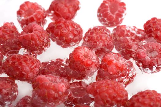 fresh raspberries in water