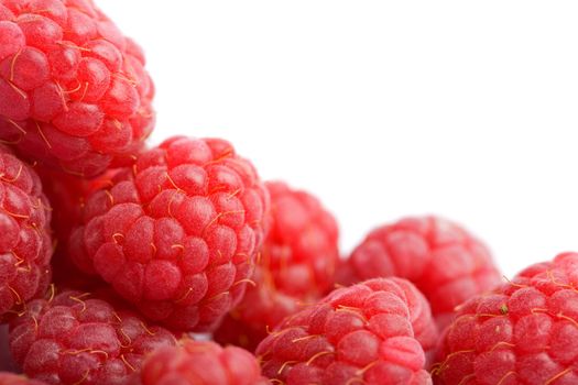 fresh raspberries background isolated