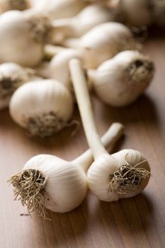 fresh garlic background (shallow focus)