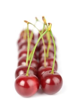 ripe cherries isolated
