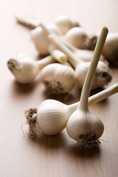 fresh garlic background (shallow DOF)