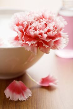 flower in white bowl and bottle of oil. spa and body care background