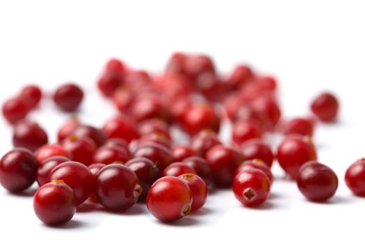 red cranberries isolated