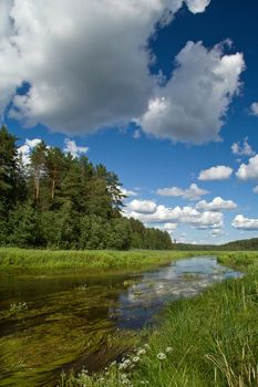 summer landscape with clouds, river and forest