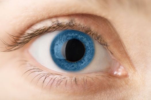 macro of blue human eye