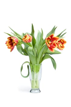 red tulips in vase