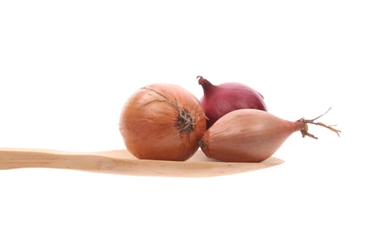 Onions simply offered on a wooden spoon isolated on a white background 
