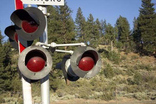 A rail road sign in the forest