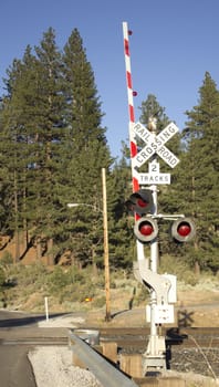 A rail road sign in the forest