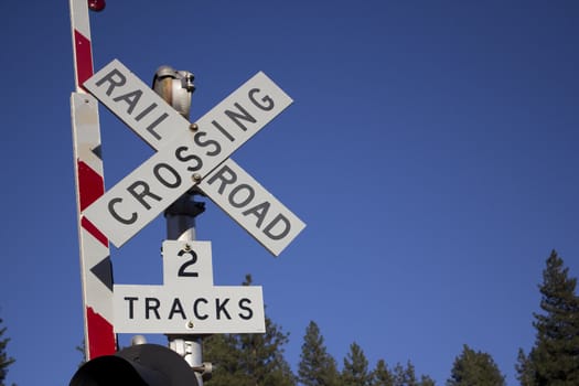 A rail road sign in the forest