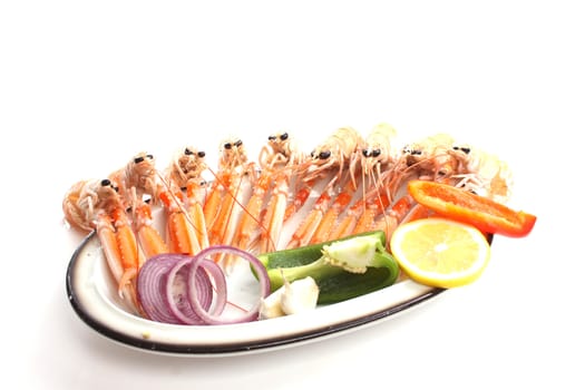 Cooked scampi on a dish  against a white background