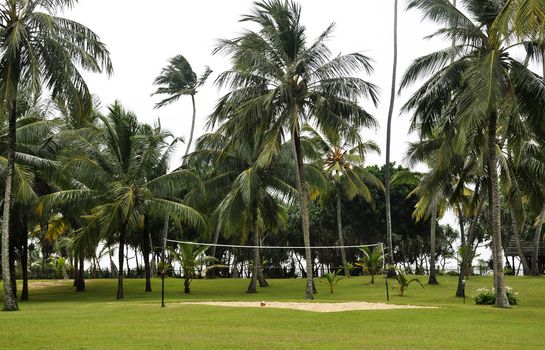 A volleyball field surrounded by palm trees on the coast in Sri Lanka