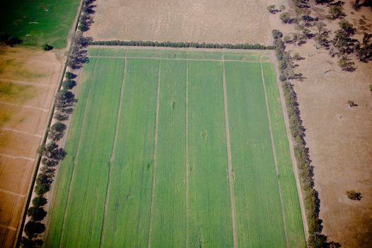 Aerial view of farmland with a single green field under crops surrounded by several fallow fields waiting for planting