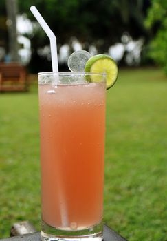 A Glass of Singapore Sling in the lawn