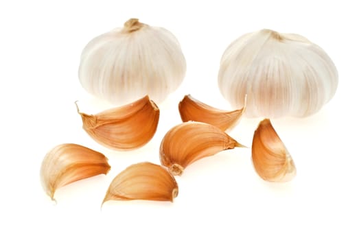 garlic