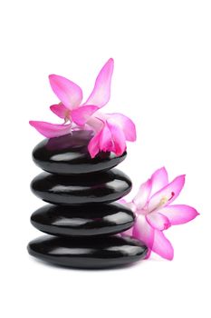 spa stones and pink flower isolated
