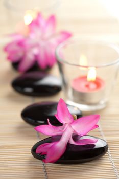 spa stones and pink flowers over bamboo mat
