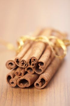 cinnamon with golden ribbon
