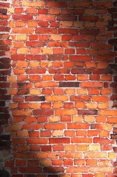 brick wall texture
