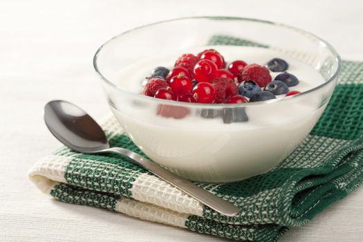 yogurt with wild berries 
